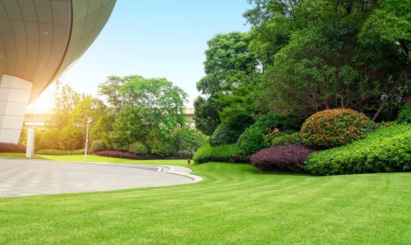 Cost of Commercial Lawn Mowing in Woodbridge