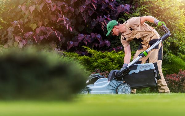 Cost of Lawn Care And Maintenance in Woodbridge