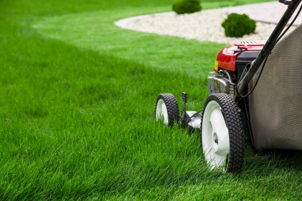 Cost of Lawn Maintenance in Woodbridge