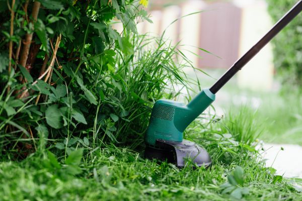 Cost of Weed Whacking in Woodbridge