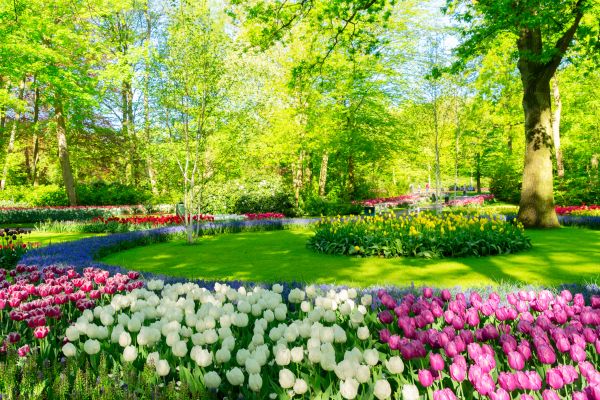 Cost of Spring Lawn Care in Woodbridge