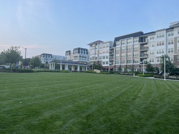 Cost of Urban Lawn Care in Woodbridge
