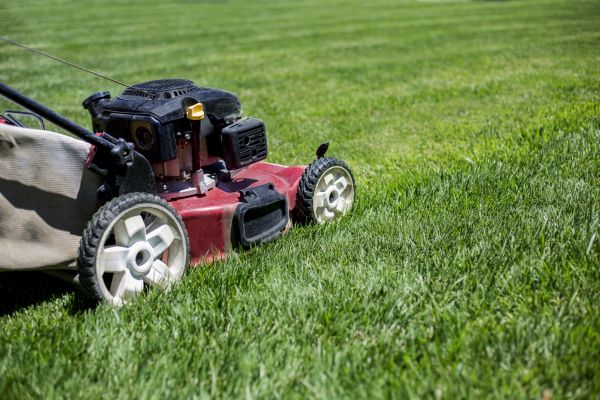 Cost of Routine Lawn Care in Woodbridge
