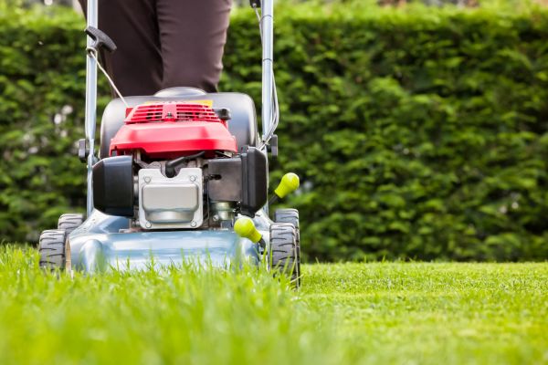 Cost of Grass Trimming Service in Woodbridge