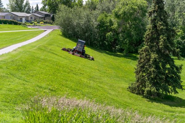 Cost of Hillside Mowing in Woodbridge