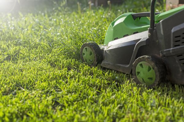 Cost of Yard Trimming in Woodbridge
