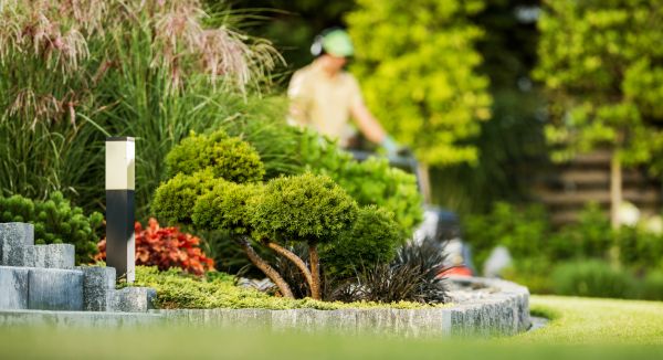 Cost of Residential Yard Maintenance in Woodbridge