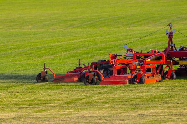 Cost of Industrial Lawn Service in Woodbridge