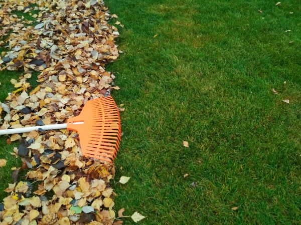 Cost of Fall Lawn Care in Woodbridge