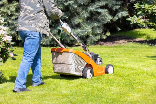 Cost of Springtime Lawn Care in Woodbridge