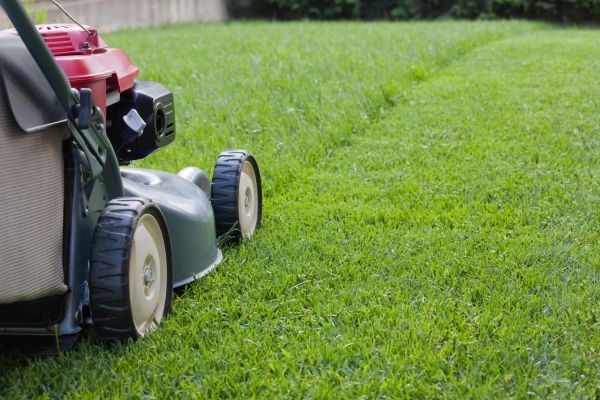 Cost of Spring Lawn Maintenance in Woodbridge