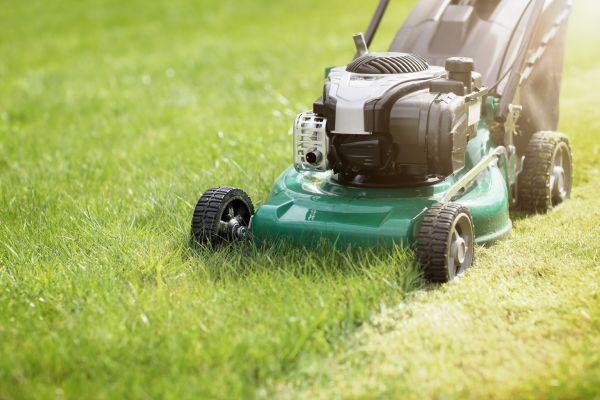Cost of Spring Grass Trimming in Woodbridge