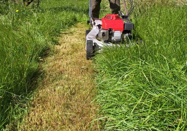 Cost of Leaf Mowing in Woodbridge