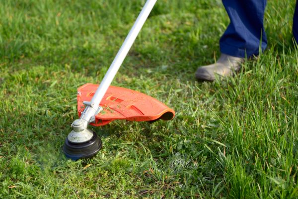 Cost of Lawn Weed Whacking in Woodbridge