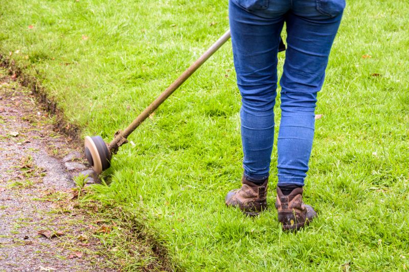 Fence Line Trimming