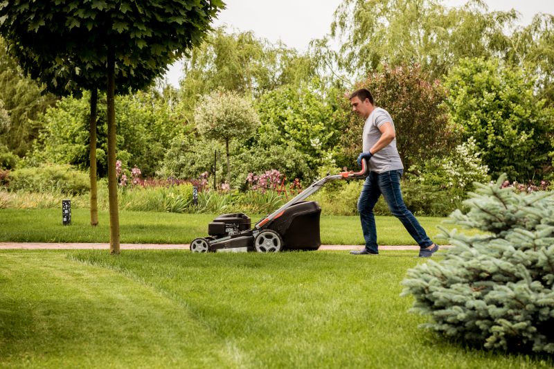 Lawn Maintenance